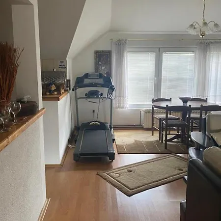 Apartment Adi